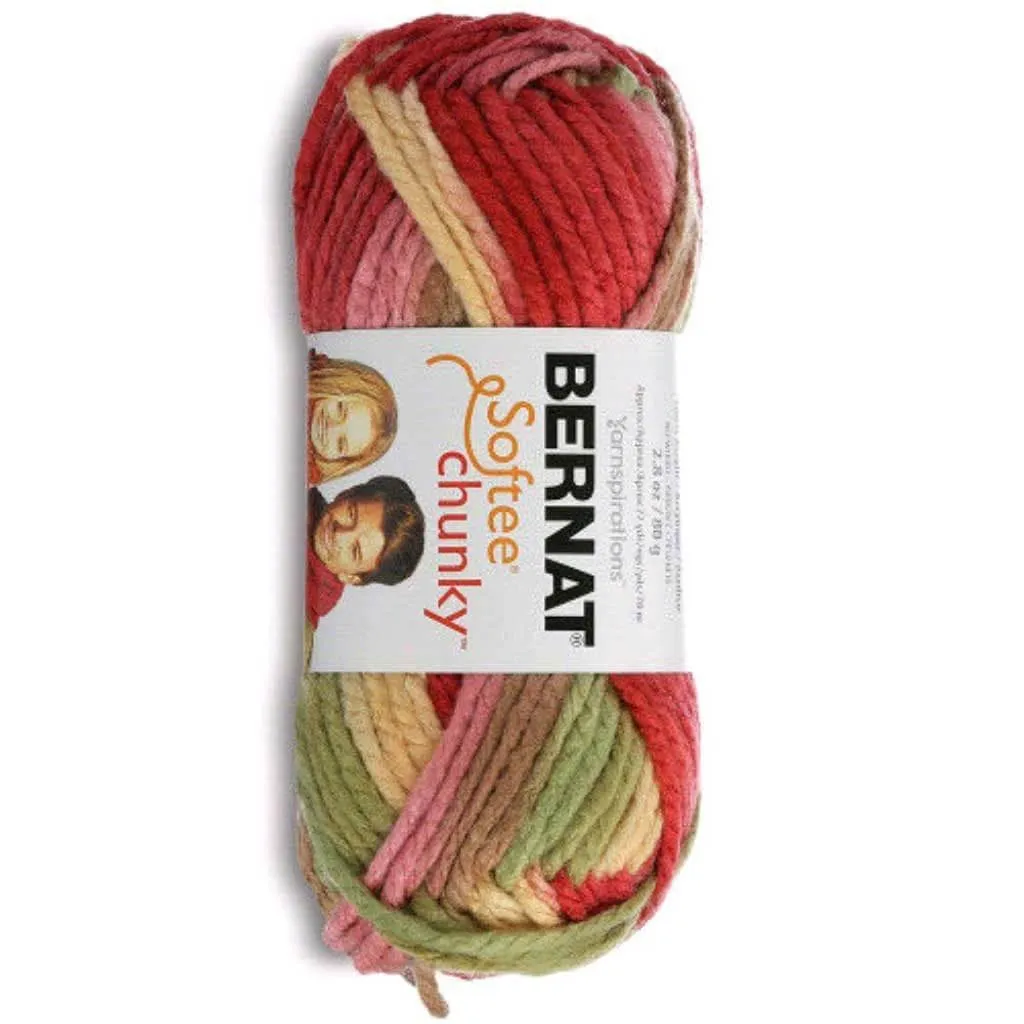 Bernat Softee Chunky Ombre Yarn Summerset