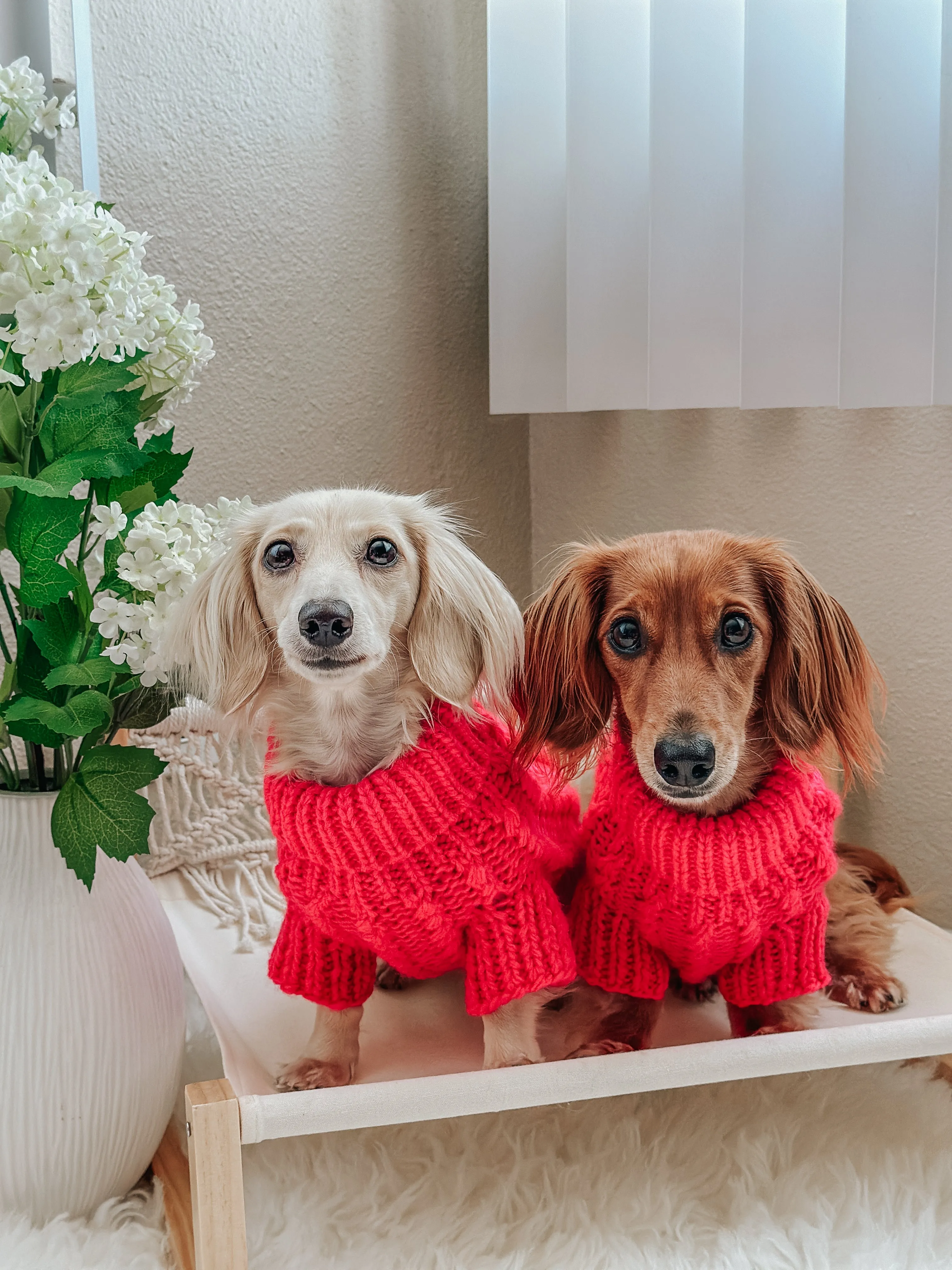 Dog Cable Knit Sweater - Hot Pink